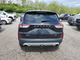Used 2020 Ford Escape SEL image 5