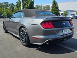Used 2022 Ford Mustang Premium image 6