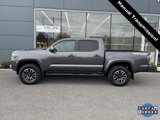 Used 2022 Toyota Tacoma TRD Sport w/ Black Out Package (TMS) image 5
