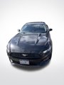 Used 2015 Ford Mustang Coupe image 6