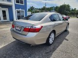Used 2014 Honda Accord EX-L image 5