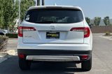 Certified 2020 Honda Pilot EX-L image 5