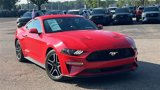 Certified 2021 Ford Mustang Coupe w/ Equipment Group 101A image 2