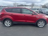 Used 2016 Ford Escape Titanium w/ Equipment Group 301A image 4