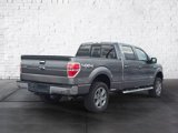 Used 2013 Ford F150 XLT w/ Luxury Equipment Group image 3