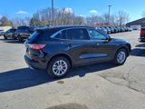 Used 2022 Ford Escape SE w/ Convenience Package image 3