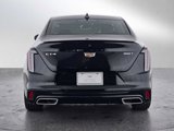 Certified 2023 Cadillac CT4 Sport image 6