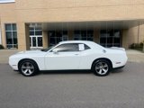 Used 2019 Dodge Challenger SXT image 1