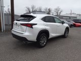 Used 2021 Lexus NX 300 FWD w/ Accessory Package 2 image 3