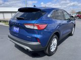 Used 2022 Ford Escape SE w/ Cold Weather Package image 4