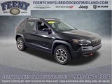 Used 2022 Jeep Cherokee Trailhawk w/ Sun, Sound & Nav Group image 1