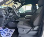 New 2025 Ford F150 STX w/ STX Black Appearance Package image 5