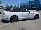 Used 2020 Ford Mustang Premium image 4