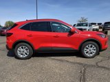 New 2024 Ford Escape Active w/ Tech Pack #2 image 6