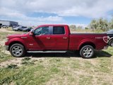 Used 2014 Ford F150 Lariat w/ Equipment Group 502A Luxury image 2