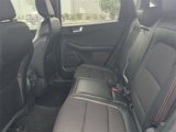 Used 2024 Ford Escape ST-Line w/ Tech Pack #1 image 4