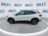 New 2025 Ford Escape ST-Line w/ Tech Pack #1 image 6