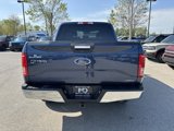 Used 2016 Ford F150 XLT w/ Equipment Group 301A Mid image 6