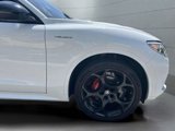 Used 2023 Alfa Romeo Stelvio Veloce image 6