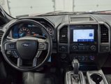 Used 2020 Ford F150 XLT w/ Equipment Group 302A Luxury image 5