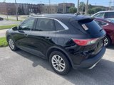 Used 2020 Ford Escape SE image 3