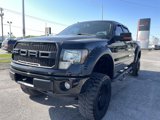 Used 2009 Ford F150 FX4 image 3