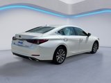 Used 2020 Lexus ES 350 image 4