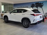 Used 2022 Lexus NX 350 AWD image 3