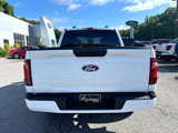 New 2025 Ford F150 STX image 3