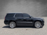 Used 2016 Cadillac Escalade Platinum image 3