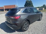 Used 2020 Ford Escape SEL image 6