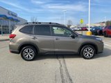 Used 2019 Subaru Forester Premium image 2