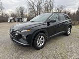 Used 2024 Hyundai Tucson SEL image 4