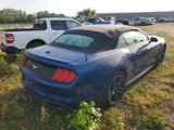 Used 2022 Ford Mustang Premium image 2