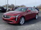 New 2025 Cadillac CT4 Premium Luxury image 5