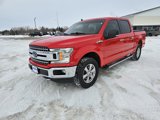 Used 2019 Ford F150 XLT w/ Equipment Group 302A Luxury image 2