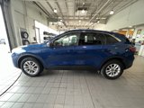 Used 2022 Ford Escape SE image 6