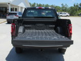 New 2025 Ford F150 XL image 5