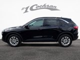 Used 2022 Ford Escape SE image 4