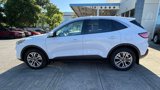 Used 2022 Ford Escape SEL w/ Technology Package image 5
