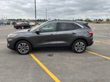 Used 2020 Ford Escape SEL image 6