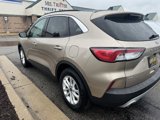 Used 2020 Ford Escape SE image 4