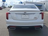 New 2024 Cadillac CT5 Premium Luxury w/ Parking Package image 5