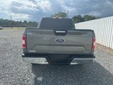 Used 2019 Ford F150 XLT w/ Equipment Group 302A Luxury image 4