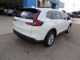 Used 2024 Honda CR-V EX-L image 4