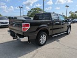Used 2013 Ford F150 XLT w/ Luxury Equipment Group image 4