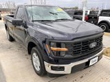 New 2024 Ford F150 XL w/ Equipment Group 103A High image 3