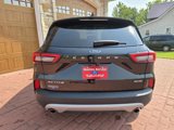 Used 2023 Ford Escape Active w/ Tech Pack #1 image 4
