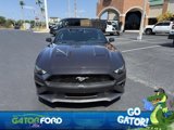 Used 2022 Ford Mustang Premium image 3