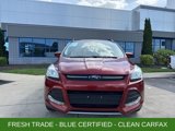 Used 2016 Ford Escape SE w/ Equipment Group 201A image 2